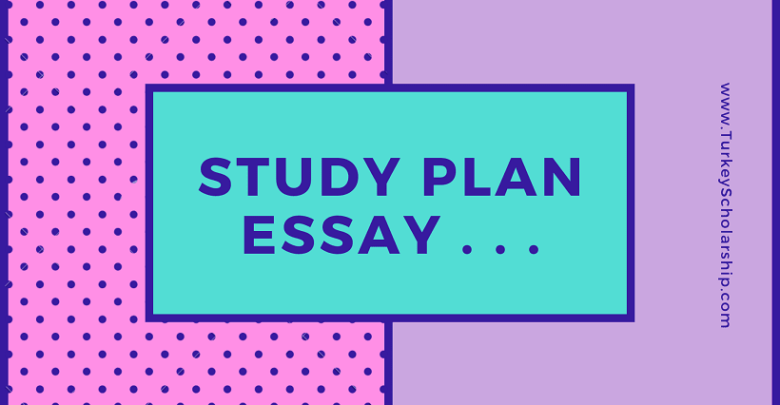 Study plan essay for scholarship application for undergraduate and postgraduate