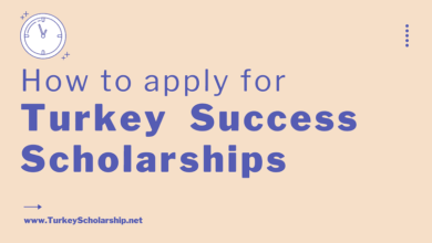 Fully-funded Turkey Success Scholarships